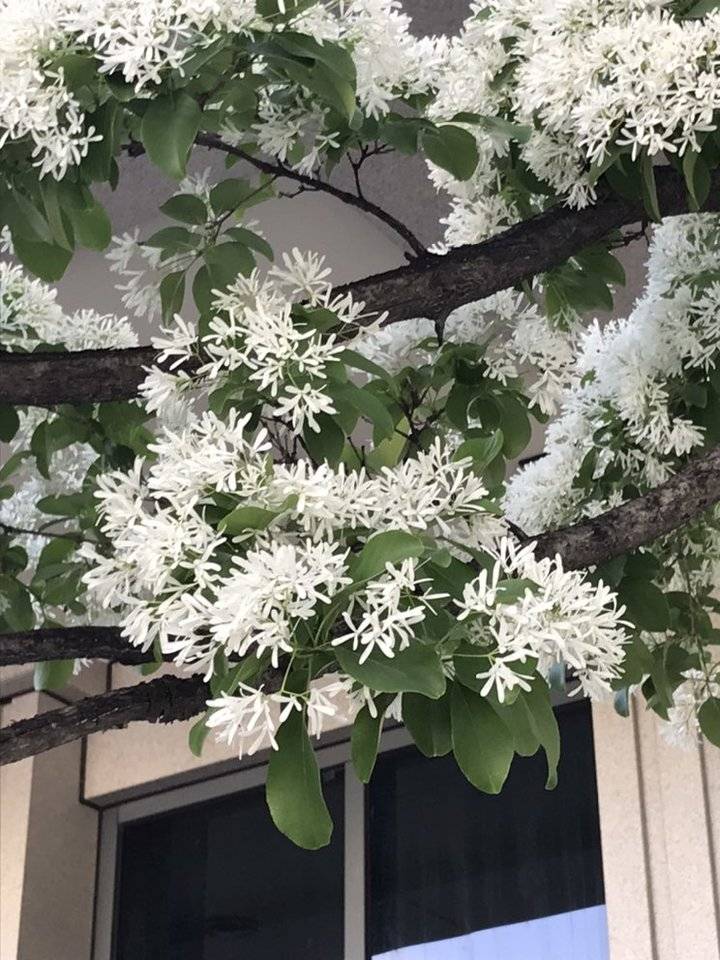 www.ms577.com-ms577.com-明是亚洲msyz577
网-www.ms577.com新闻门户 传播品质资讯